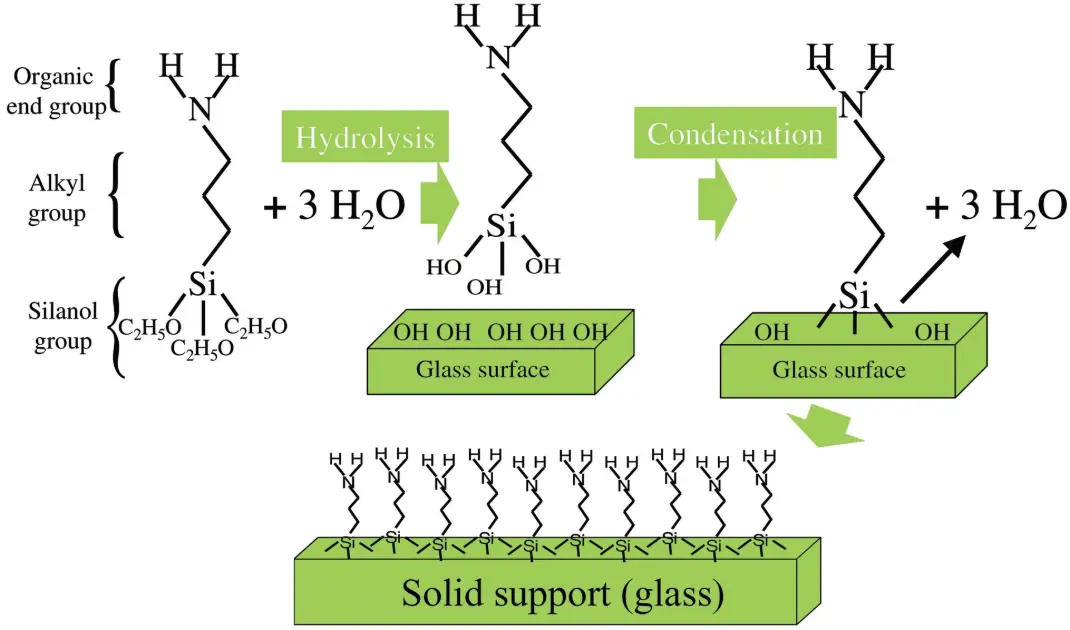 One key aspect of biochip performance is slide functionalization. AAT works on:  Chemical treatment of glass and plastic substrates Stable immobilization of biological probes Reproducible surface properties for analytical consistency