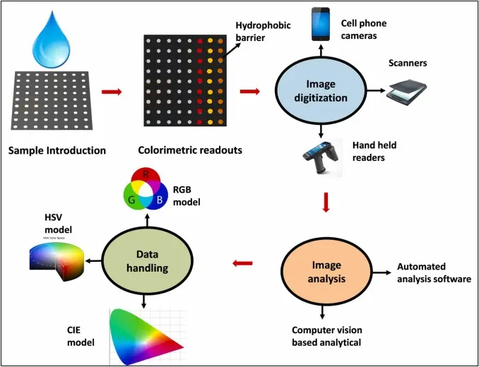 Colorimetric detection is an alternative to fluorescence-based microarray analysis. It relies on visible color development to identify biological interactions.