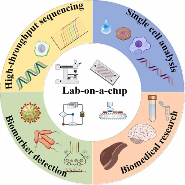 Biochips represent the next step in array-based technologies by integrating biological recognition elements with microfabrication, surface engineering, and advanced detection systems.  Modern biochips are designed to support:  Multiplex detection of DNA, RNA, proteins, or metabolites High-throughput screening in compact formats Lab-on-a-chip functionality Automation and workflow integration Rapid and point-of-care analysis Innovations in biochip design have enabled assays that are faster, more sensitive, and easier to scale. These platforms often combine microarrays with microfluidics, enabling precise sample handling and improved assay consistency.