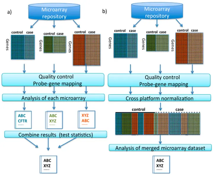 As experiments generate increasingly complex datasets, modern microarray platforms are designed with structured data processing in mind. Integration with bioinformatics pipelines enables efficient normalization, analysis, visualization, and interpretation.