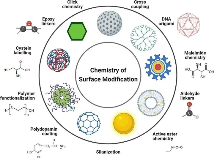 New surface coatings and functionalization strategies improve probe immobilization, reduce background noise, and enhance binding efficiency. These improvements lead to higher sensitivity and more reliable data.