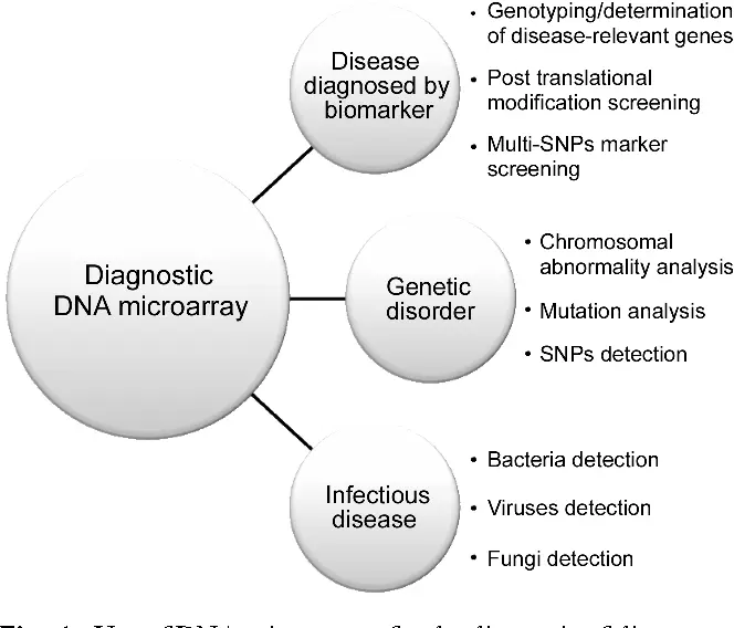 Genomic and Transcriptomic Research Microarrays remain a powerful tool for gene expression profiling, pathway analysis, and validation of sequencing results. Their reproducibility makes them ideal for comparative studies and longitudinal research.  Molecular Diagnostics Targeted microarrays and biochips are widely used in diagnostic assay development, offering advantages such as multiplex detection, rapid turnaround times, and high specificity. These platforms are particularly valuable in infectious disease testing, oncology panels, and inherited disease screening.  Biomarker Discovery and Validation Biochips enable the simultaneous analysis of multiple biomarkers, accelerating discovery and validation workflows in translational and clinical research.  Drug Discovery and Development Microarrays support drug response profiling, toxicity studies, and pharmacogenomic analysis, helping researchers understand molecular mechanisms and therapeutic effects.  Precision and Personalized Medicine By enabling targeted analysis of clinically relevant gene sets and biomarkers, microarray and biochip technologies contribute to personalized treatment strategies and patient stratification.